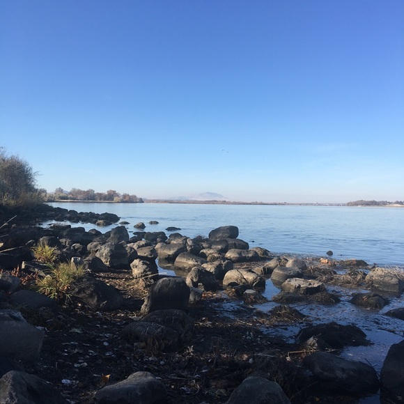 Meet your Posher, Marge - Picture 1 of 3